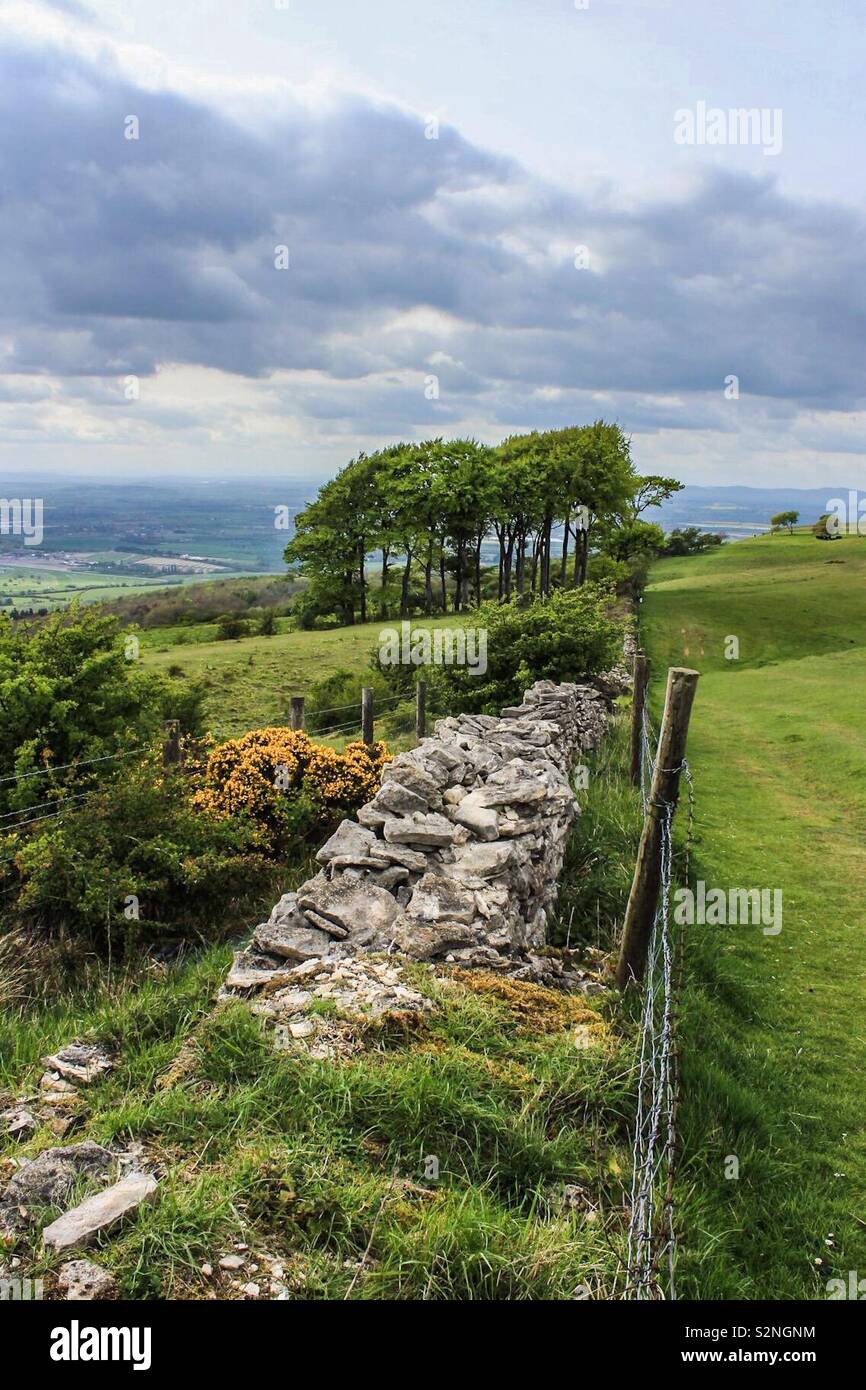 Naturen Anfänge Stockfoto