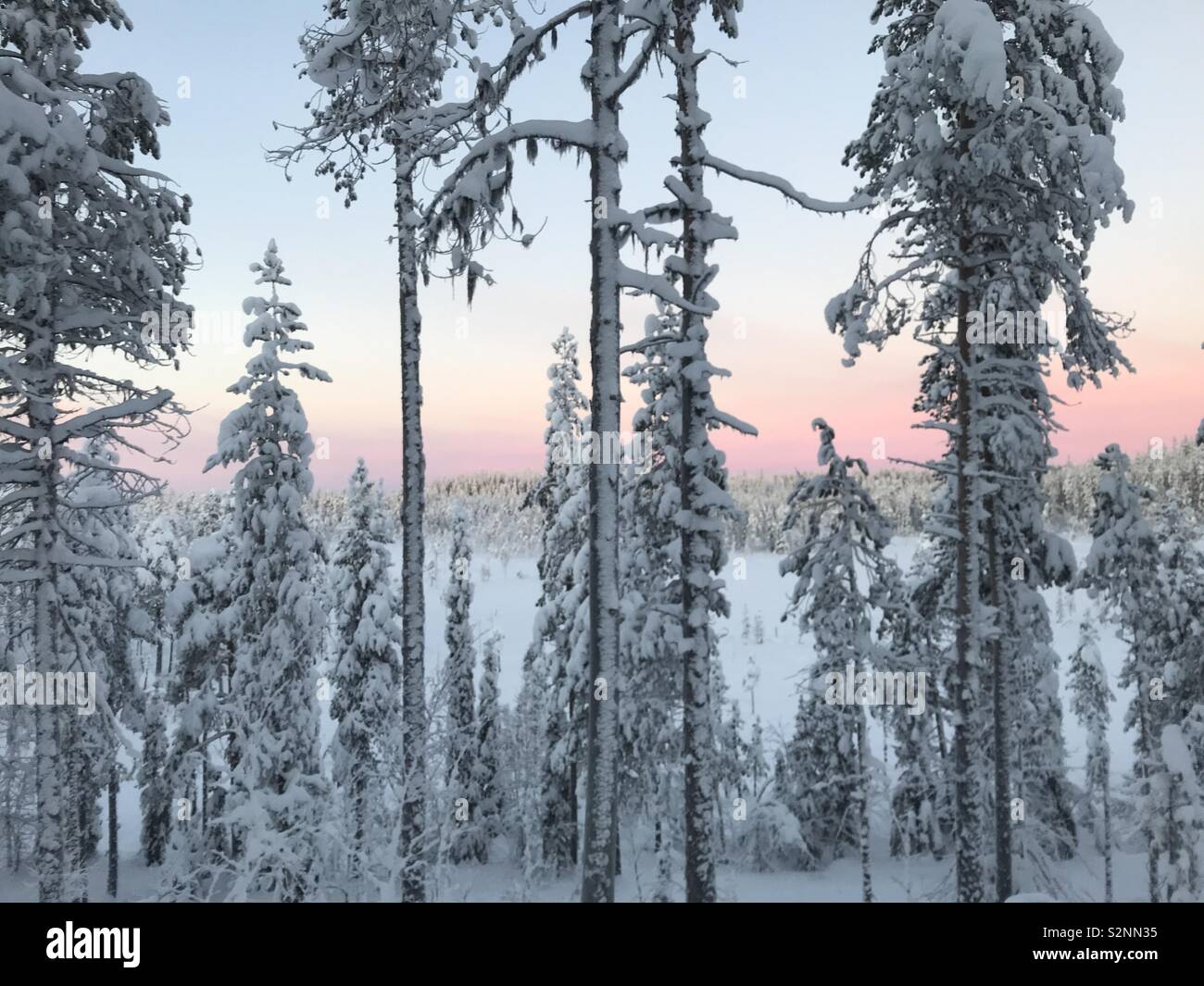 Schöne verschneite Landschaft in Schwedisch Lappland Stockfoto