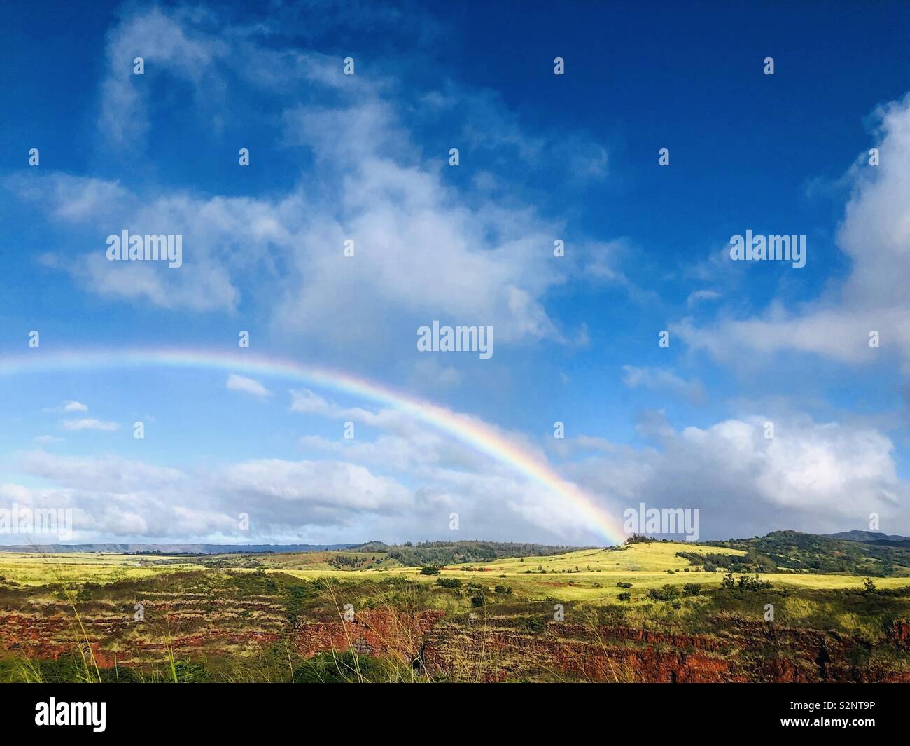 Rainbow mit grünen und blauen Himmel. Stockfoto