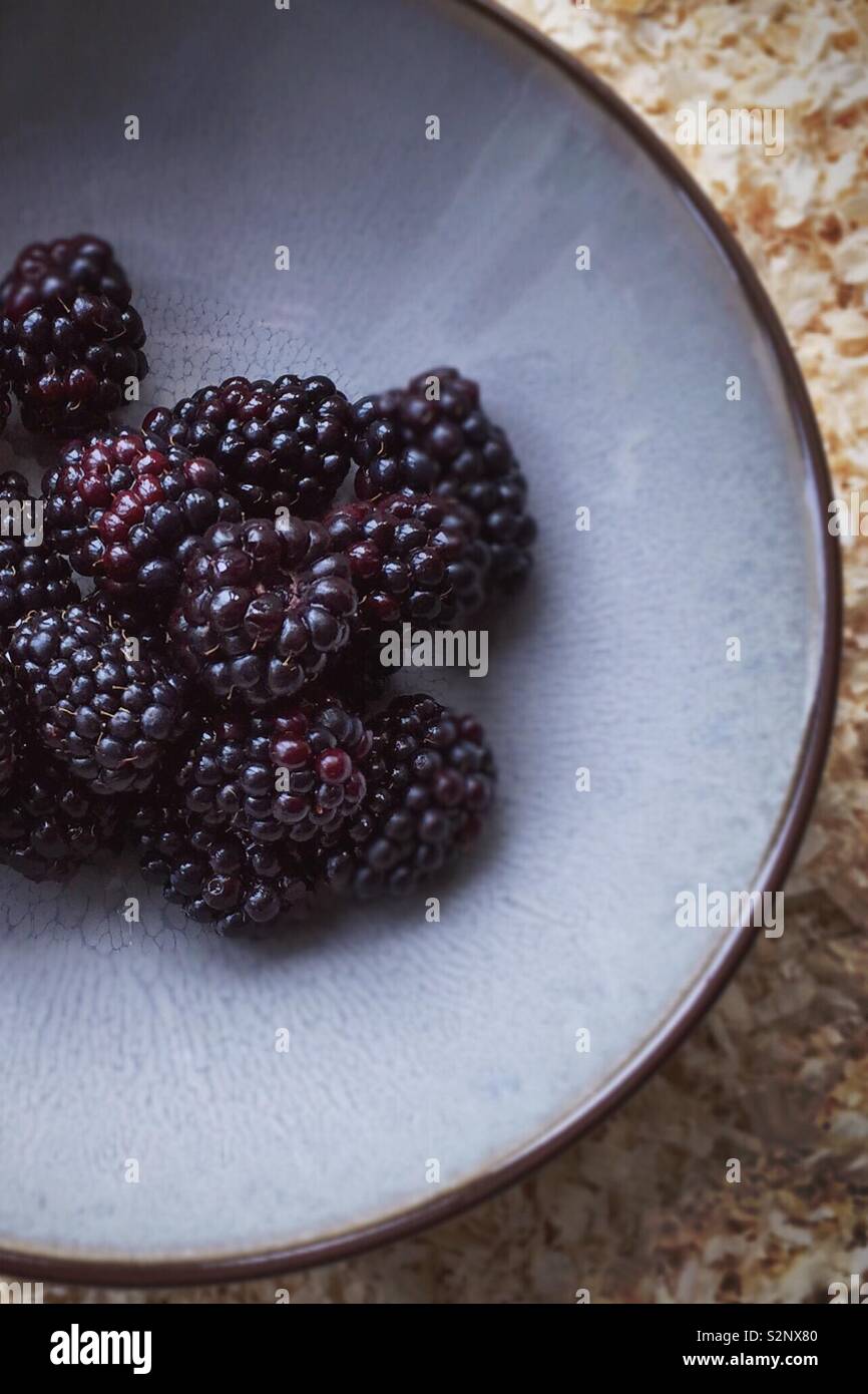 Herrliche frische Brombeeren in eine Schüssel geben. Gesundes Obst und perfekt für Apple und Blackberry Crumble oder pie Stockfoto