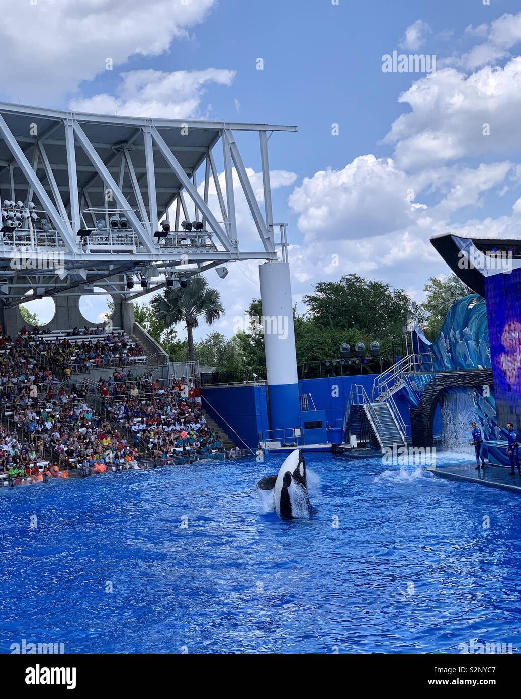 Sea World whale Leistung in Orlando, Florida - Smartphone-aufgenommenes Stockfoto