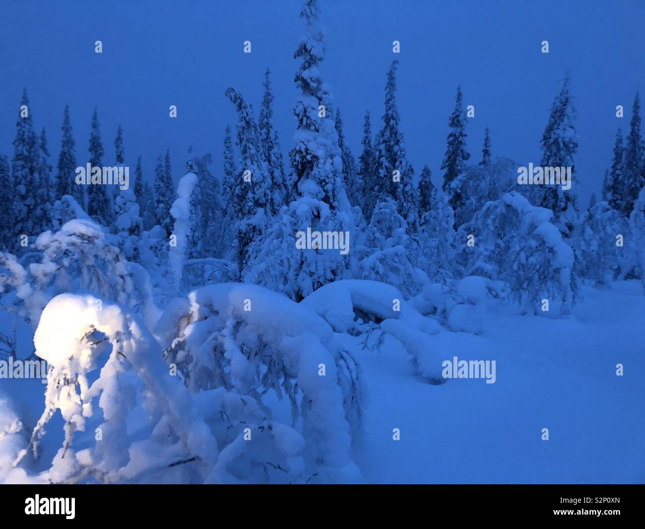 Schwedisch Lappland 110 km innerhalb des Polarkreises Stockfoto