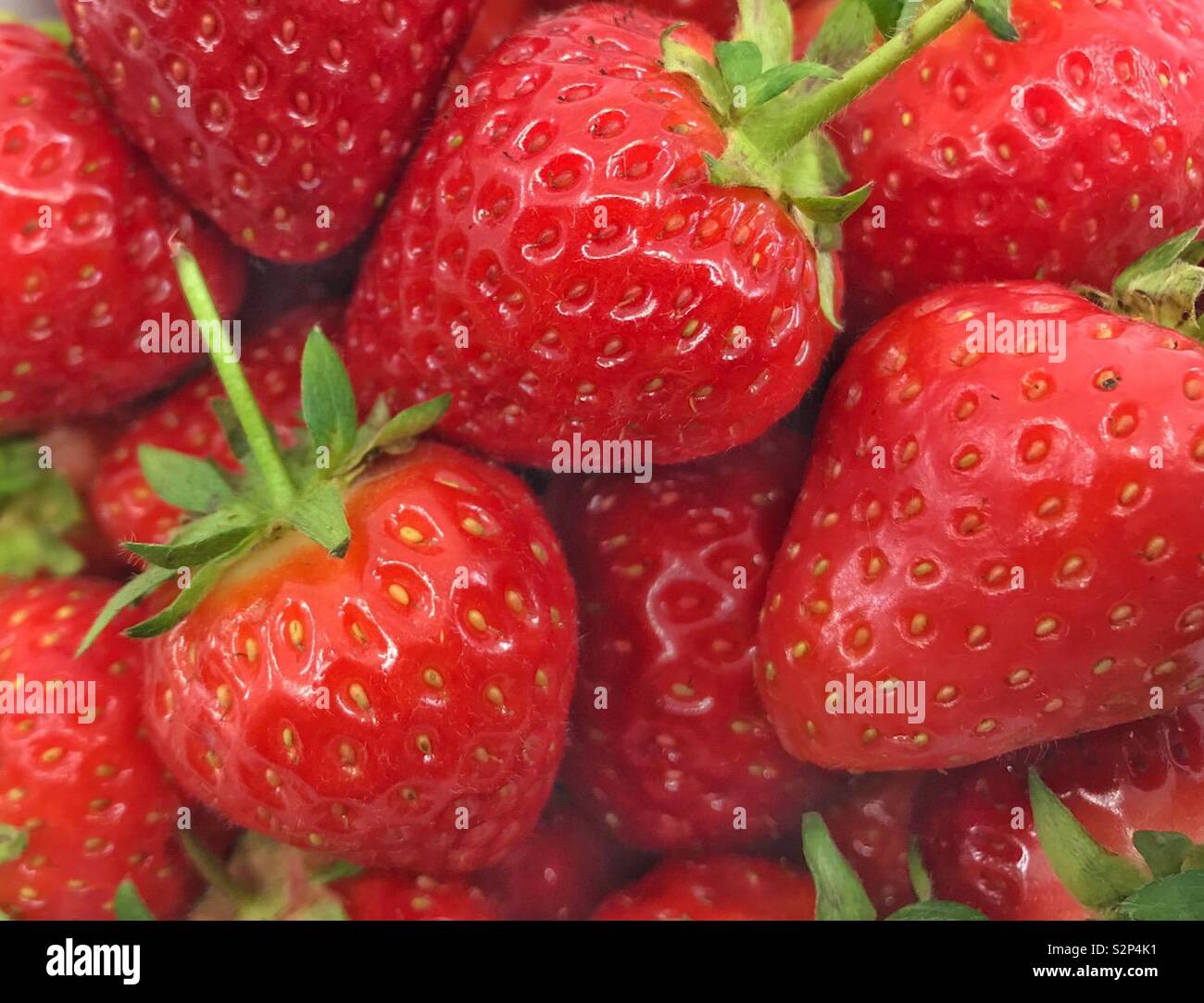 Nahaufnahme der frische reife Saftige Erdbeeren - Smartphone-aufgenommenes Stockfoto