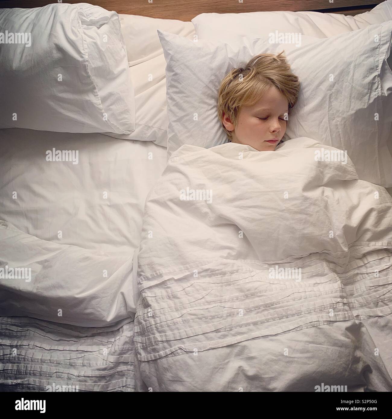 Kleiner Junge schlafen im Bett der Eltern Stockfoto