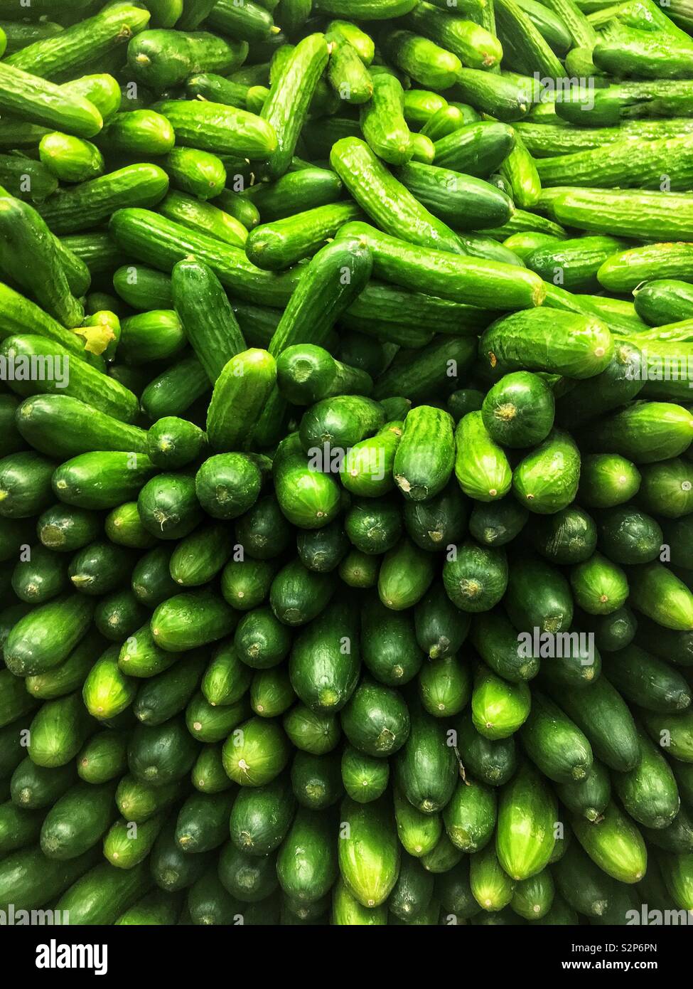 Stapel von vielen Persian Pickles, aka kleine Gurken. Stockfoto