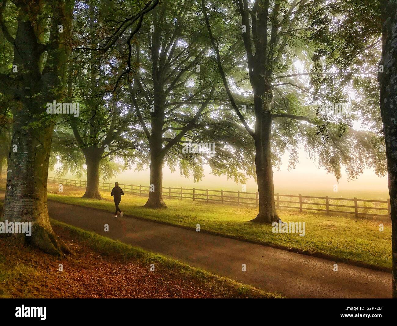 Am frühen Morgen jogger Stockfoto