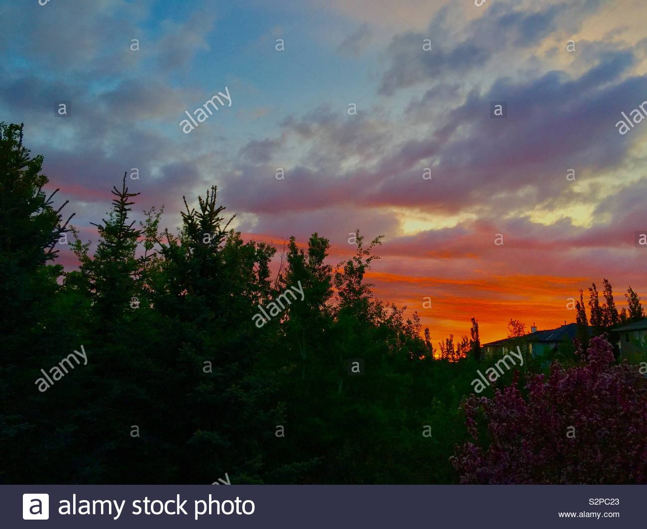 Sunrise, 5:20, 4. Juni, Calgary, Alberta, Kanada. Stockfoto