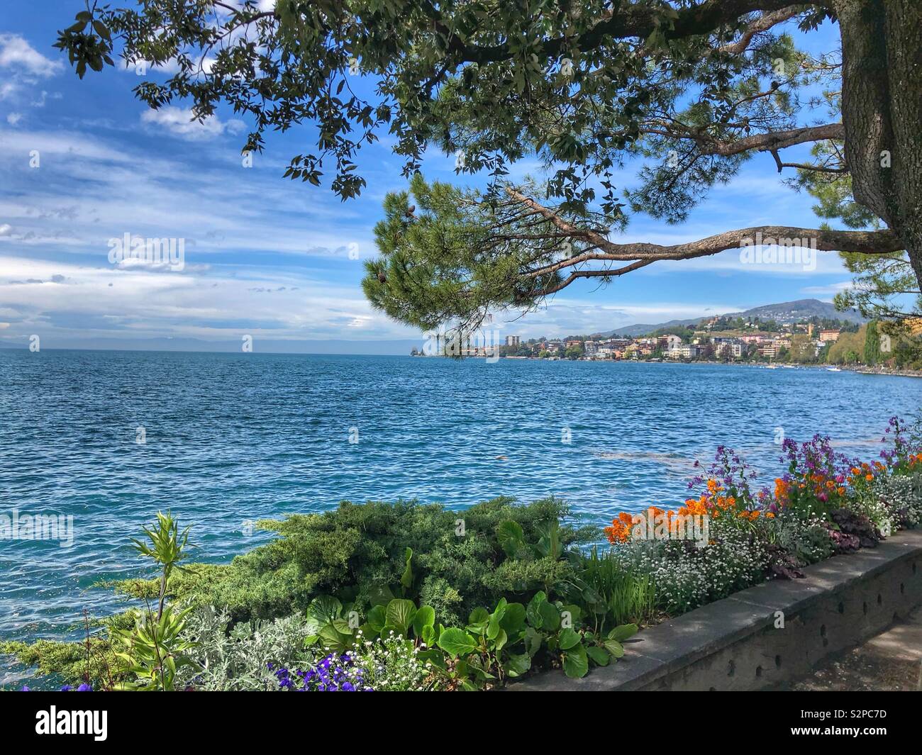 Schönen des Genfer Sees ein Lac Leman im Frühjahr von Montreux gesehen - Schweiz Stockfoto