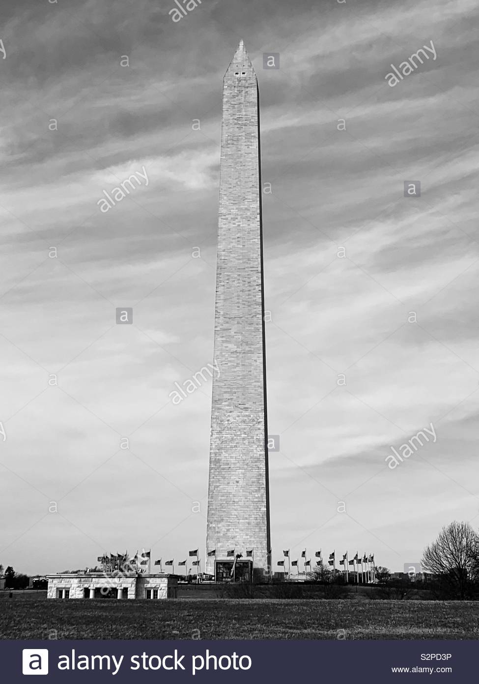 Washington monument Stockfoto