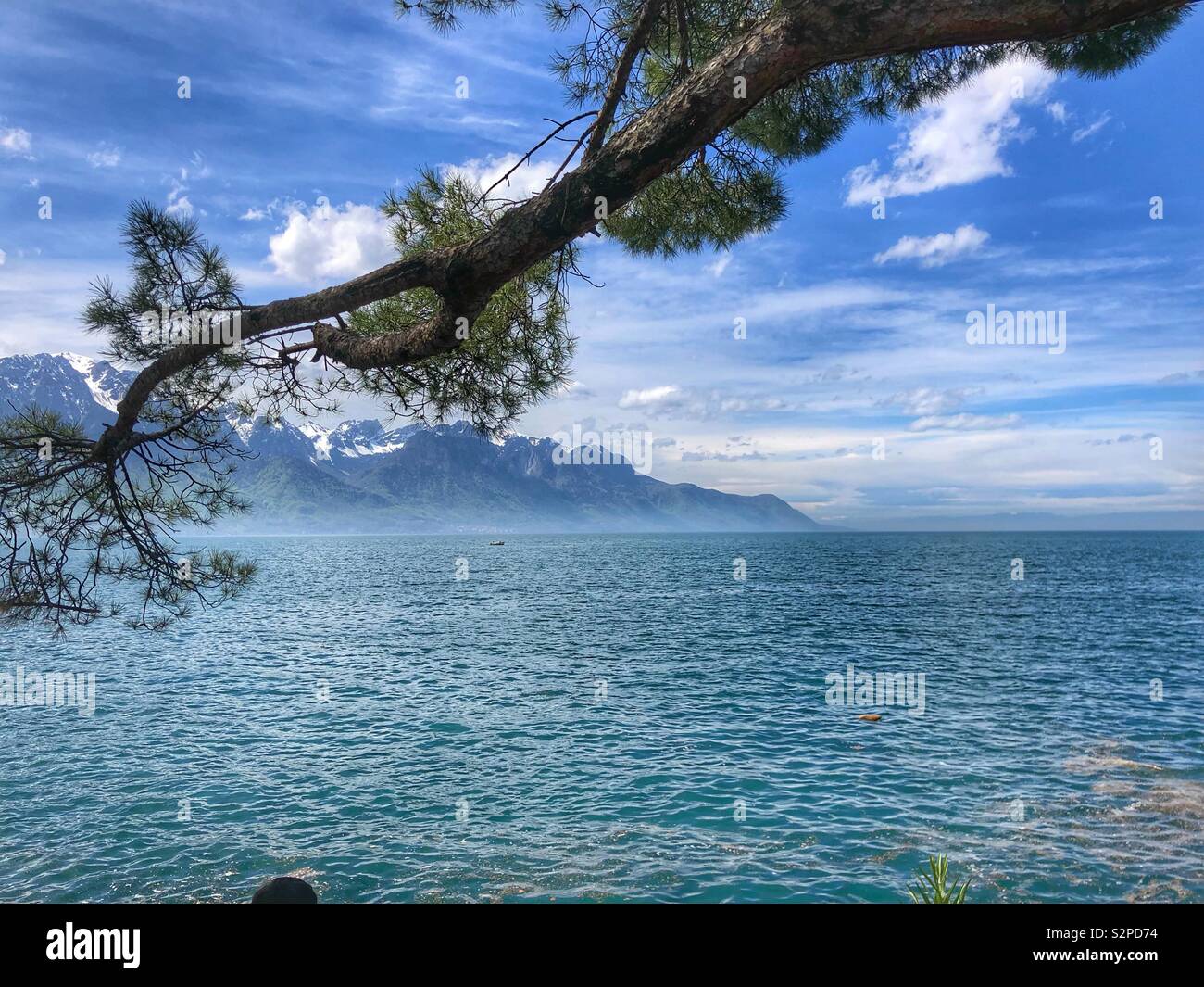 Der wunderschöne Lac Leman - Genfer See von Montreux im Frühling mit Alpes Berge im Hintergrund, Schweiz Stockfoto