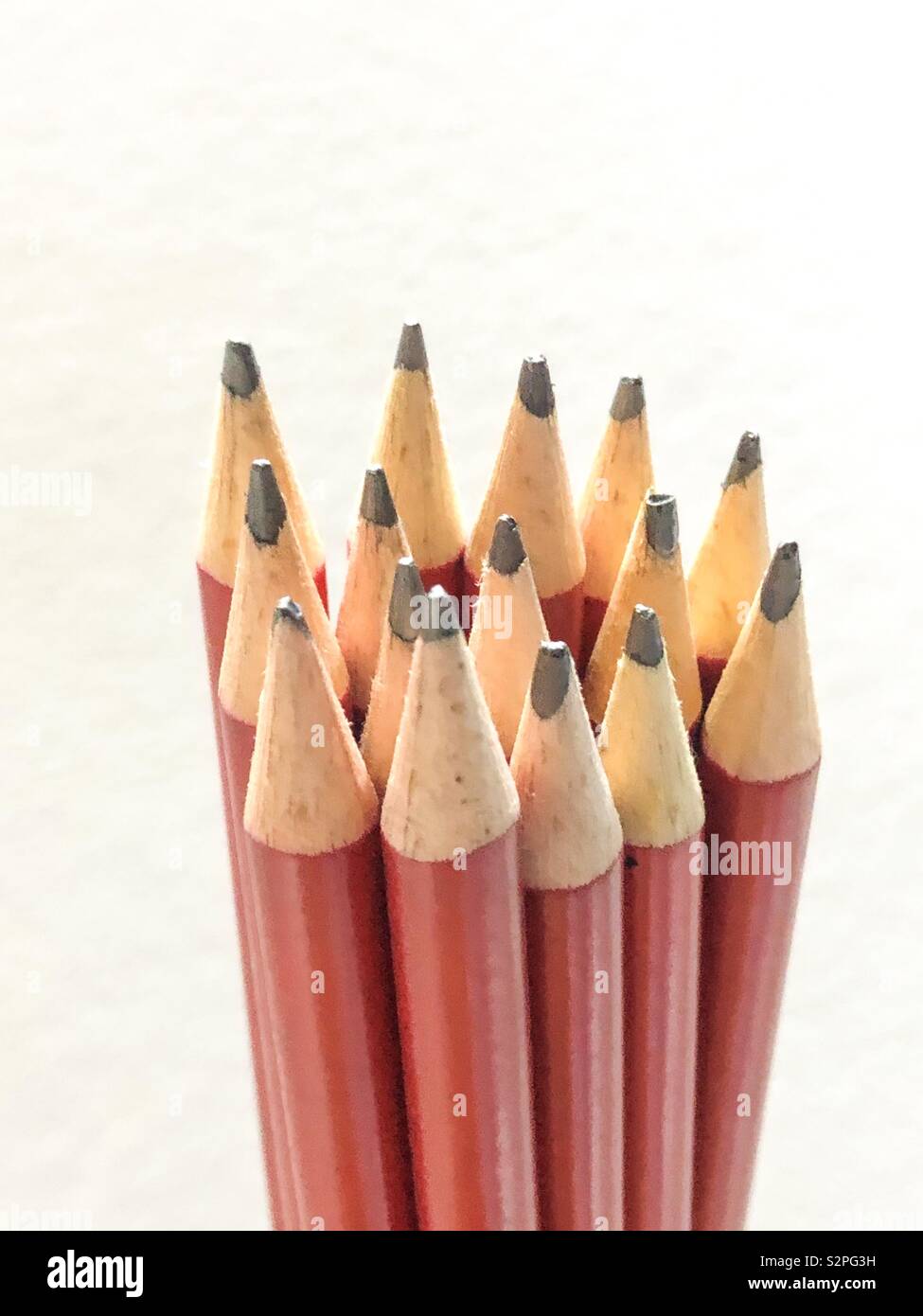 Strauß roter Bleistifte vor einem weißen Hintergrund. Stockfoto