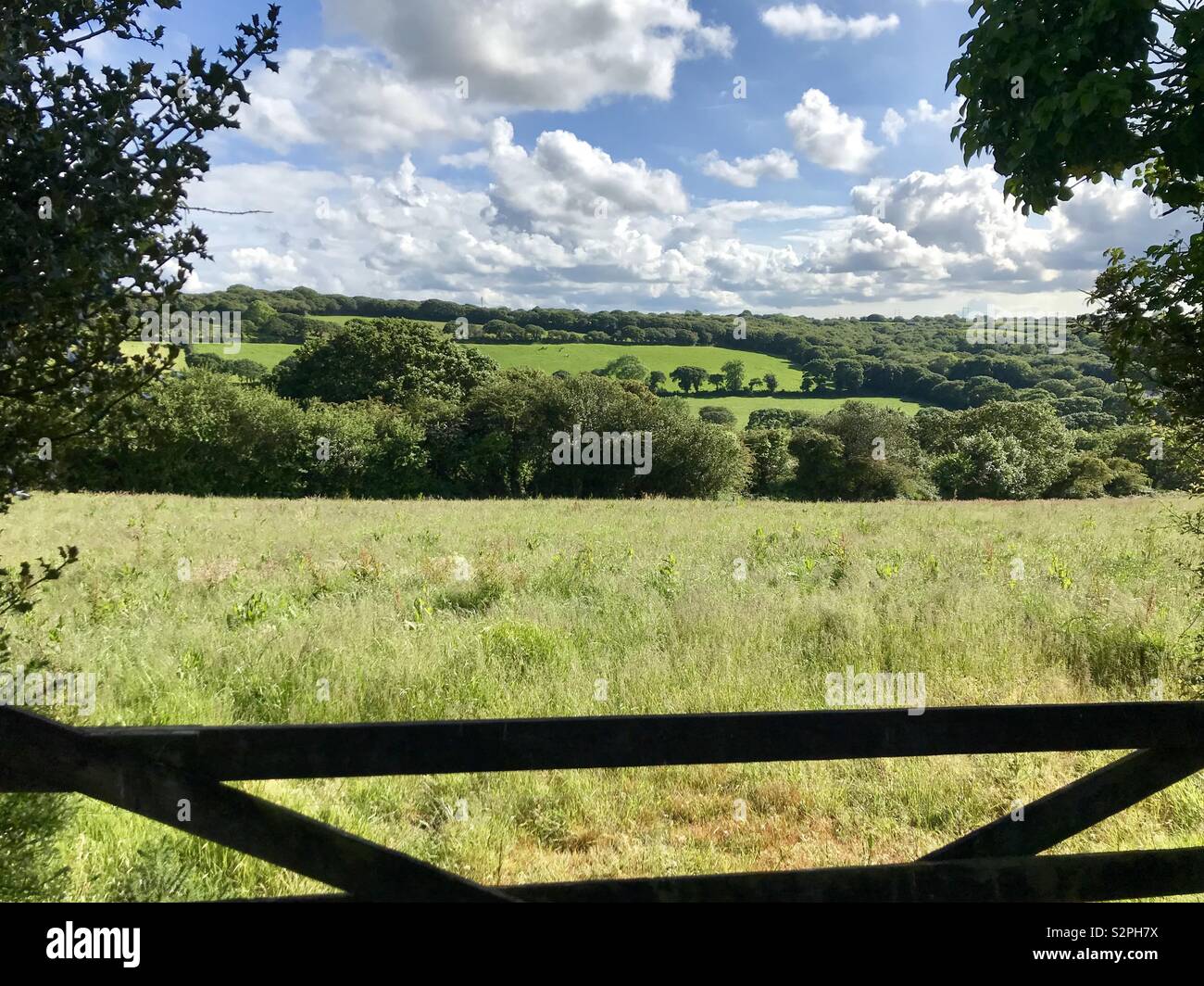 Ländliche Aussicht auf einer Farm gate Stockfoto