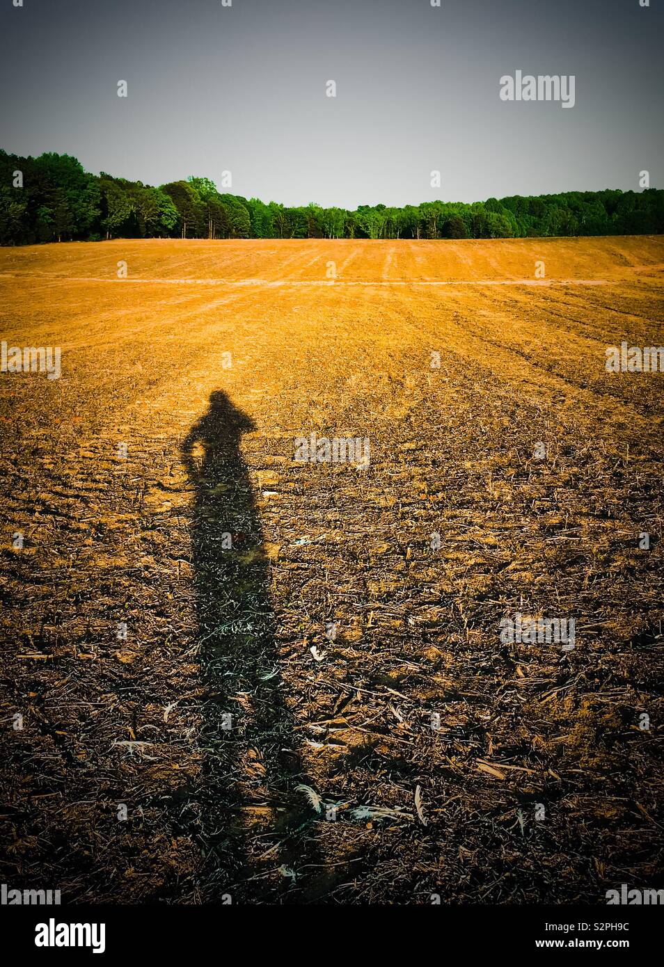 Nachmittag Schein auf lange Schatten der Frau in den leeren Bauernhof Feld - Smartphone-aufgenommenes Stockfoto