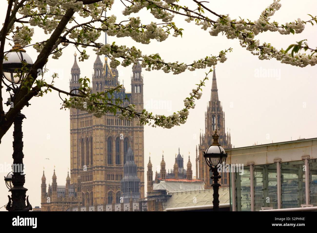 Häuser des Parlaments im Frühling Stockfoto