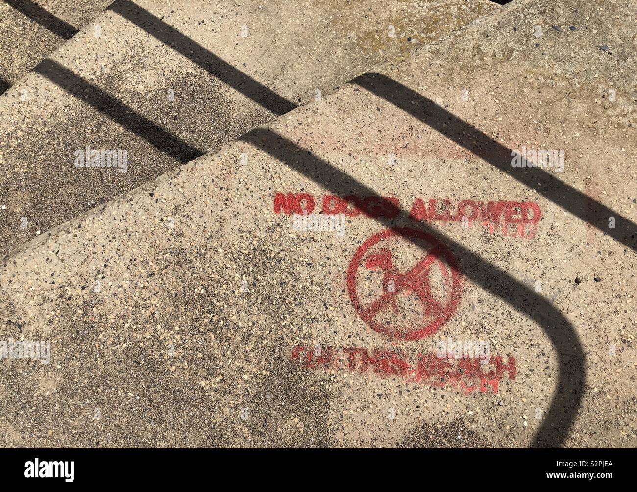 Aufgesprühte graffiti in roter Farbe - keine Hunde am Strand erlaubt Stockfoto