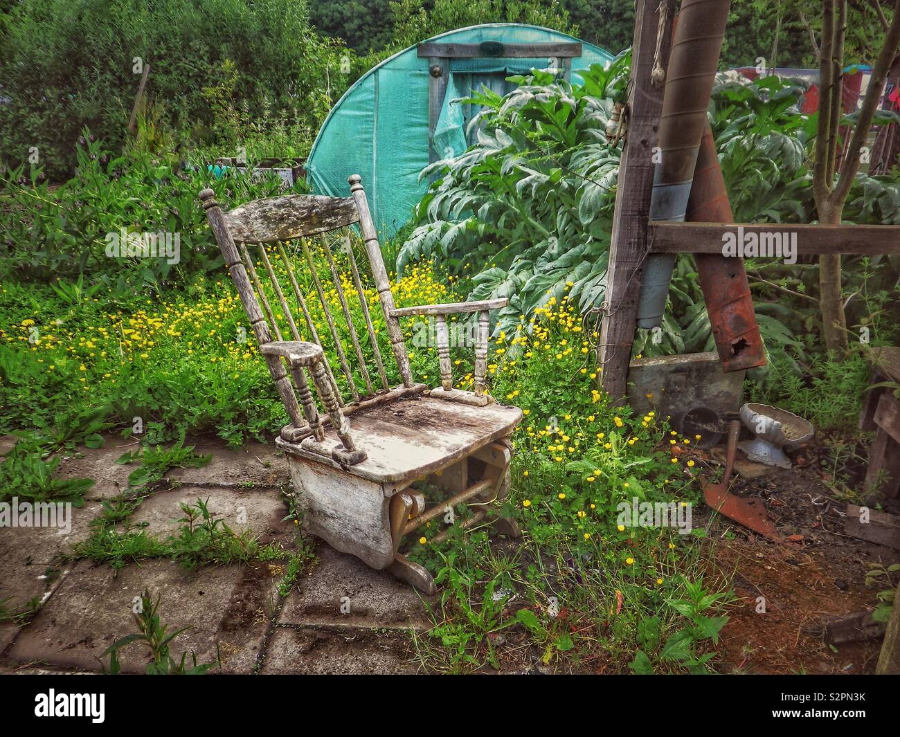 Bewachsener Garten und Schaukelstuhl aus Holz, Kilwinning, Ayrshire, Schottland, Großbritannien - Smartphone-aufgenommenes Stockfoto