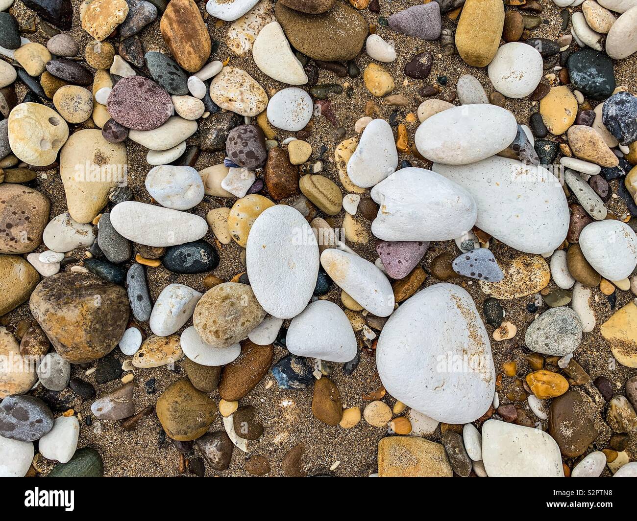 Kieselsteine am Strand Stockfoto