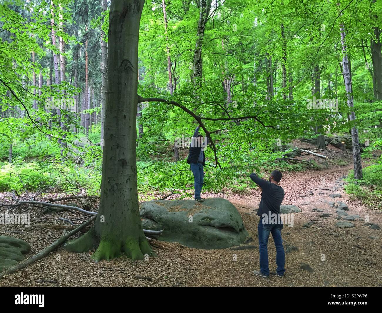 Zwei Freunde in Bad Schandau schöne Wald Nature One posiert und die anderen Bilder aufnehmen - Deutschland Europa - Smartphone-aufgenommenes Stockfoto