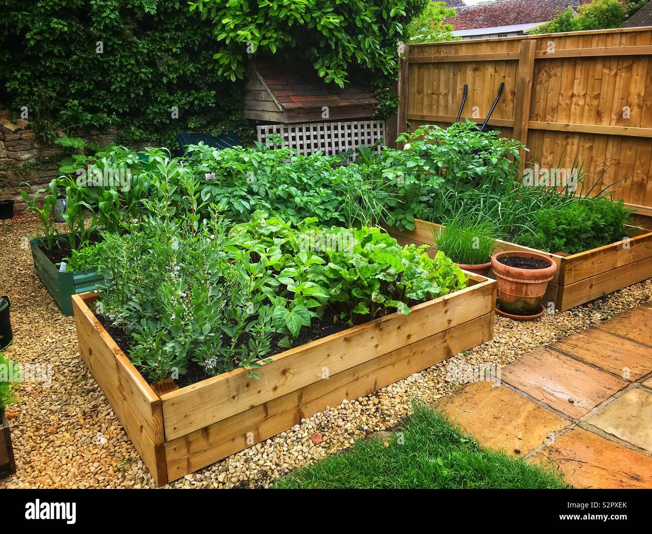 Kleiner kompakter garten Fotos und Bildmaterial in hoher Auflösung