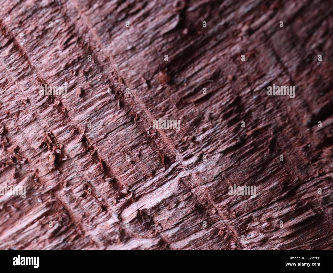 Holz panel Zaun - Smartphone-aufgenommenes Stockfoto
