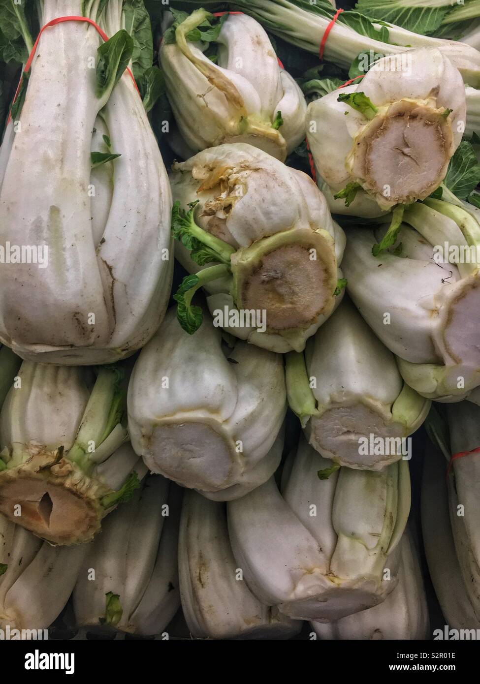 Full Frame der Böden von Bok Choy, Pak Choy, pok Choy, 小白菜, xiǎo bái cài, 上海青, qīng Shànghǎi, Shanghai Grüns, Brassica rapa, Kohl, Chinesisch. Stockfoto