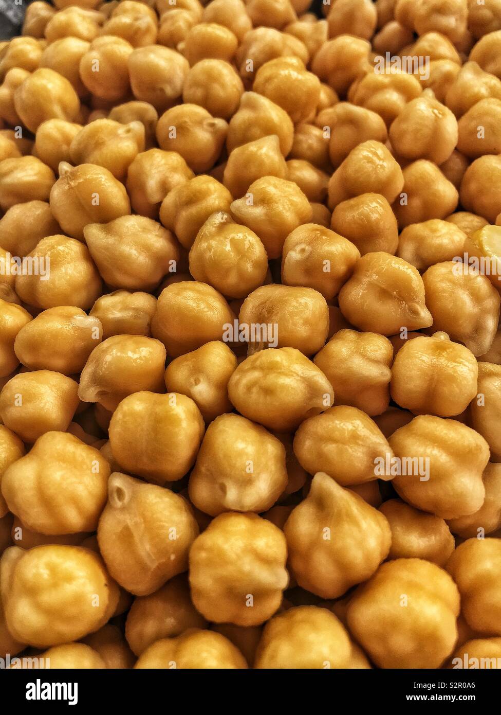 Full Frame vieler Roh Kichererbsen, Kichererbse, Cicer arietinum, Hülsenfrüchten, Gramm, Bengal Gramm, Kichererbsen, garbanzo Bean, Ägyptische pea Stockfoto