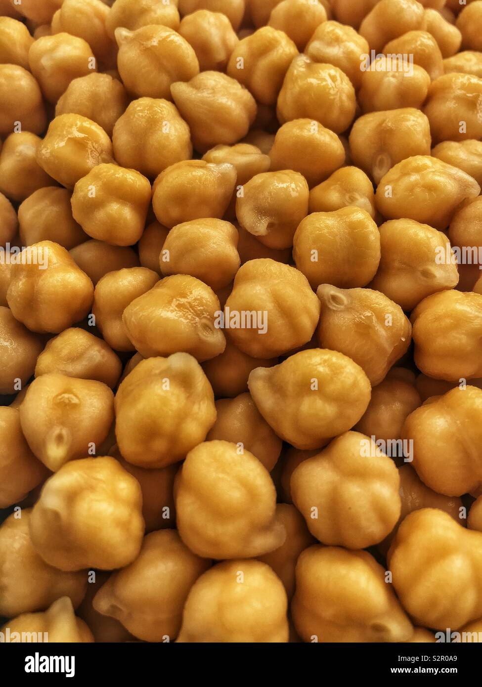 Full Frame vieler Roh Kichererbsen, Kichererbse, Cicer arietinum, Hülsenfrüchten, Gramm, Bengal Gramm, Kichererbsen, garbanzo Bean, ägyptische Erbse. Stockfoto