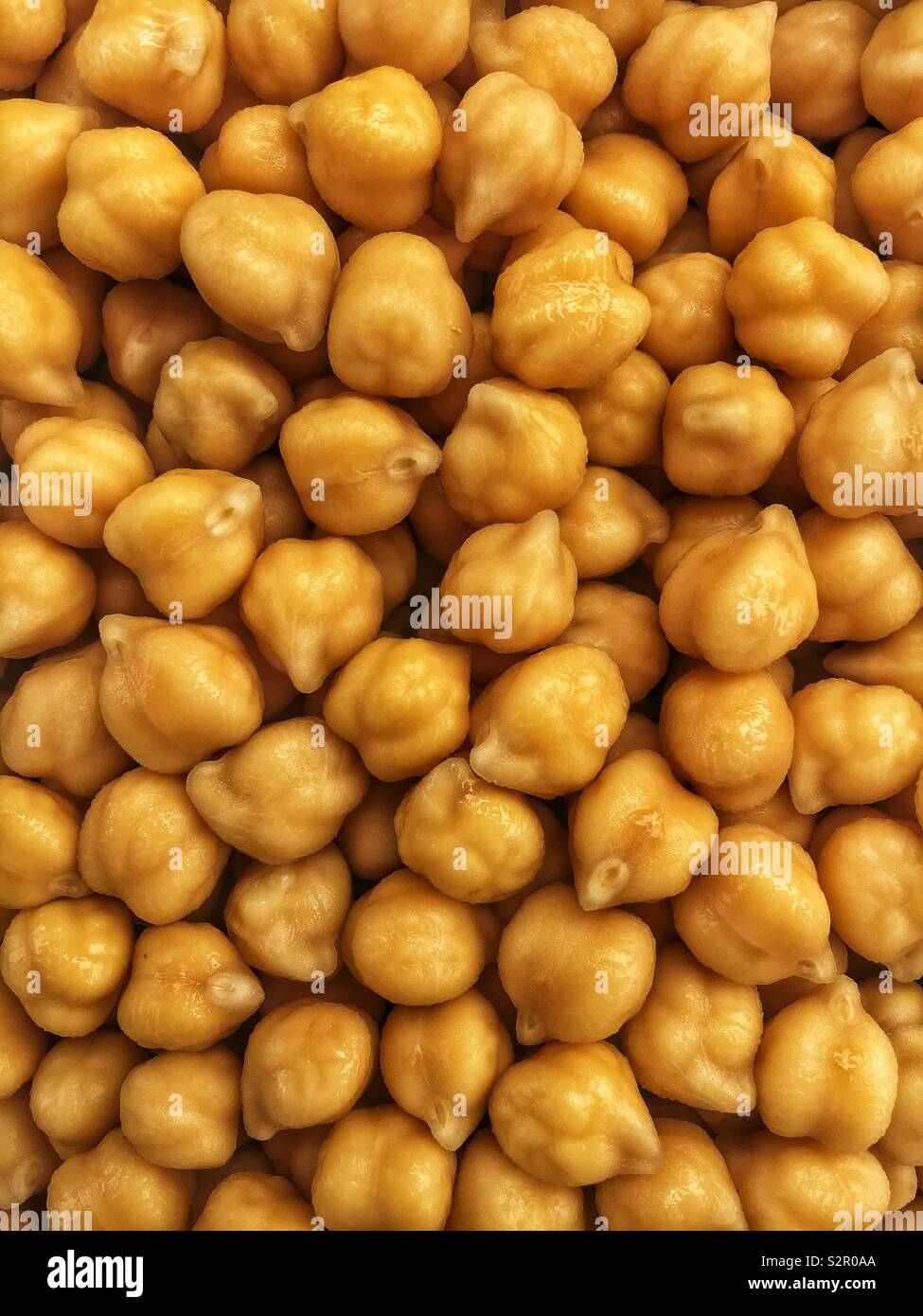 Full Frame vieler Roh Kichererbsen, Kichererbse, Cicer arietinum, Hülsenfrüchten, Gramm, Bengal Gramm, Kichererbsen, garbanzo Bean, ägyptische Erbse. Stockfoto
