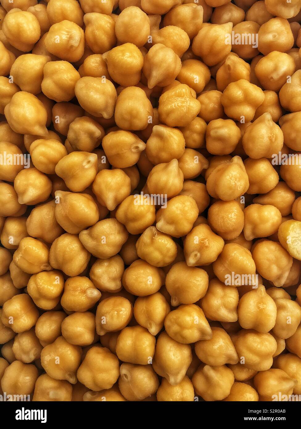 Full Frame vieler Roh Kichererbsen, Kichererbse, Cicer arietinum, Hülsenfrüchten, Gramm, Bengal Gramm, Kichererbsen, garbanzo Bean, Ägyptische pea Stockfoto