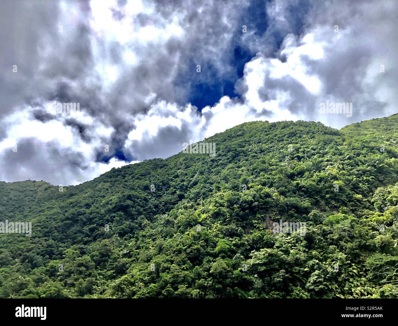 Üppiger Wald von Mt. In Sorsogon, Philippinen Reisemobilfreunde. Stockfoto