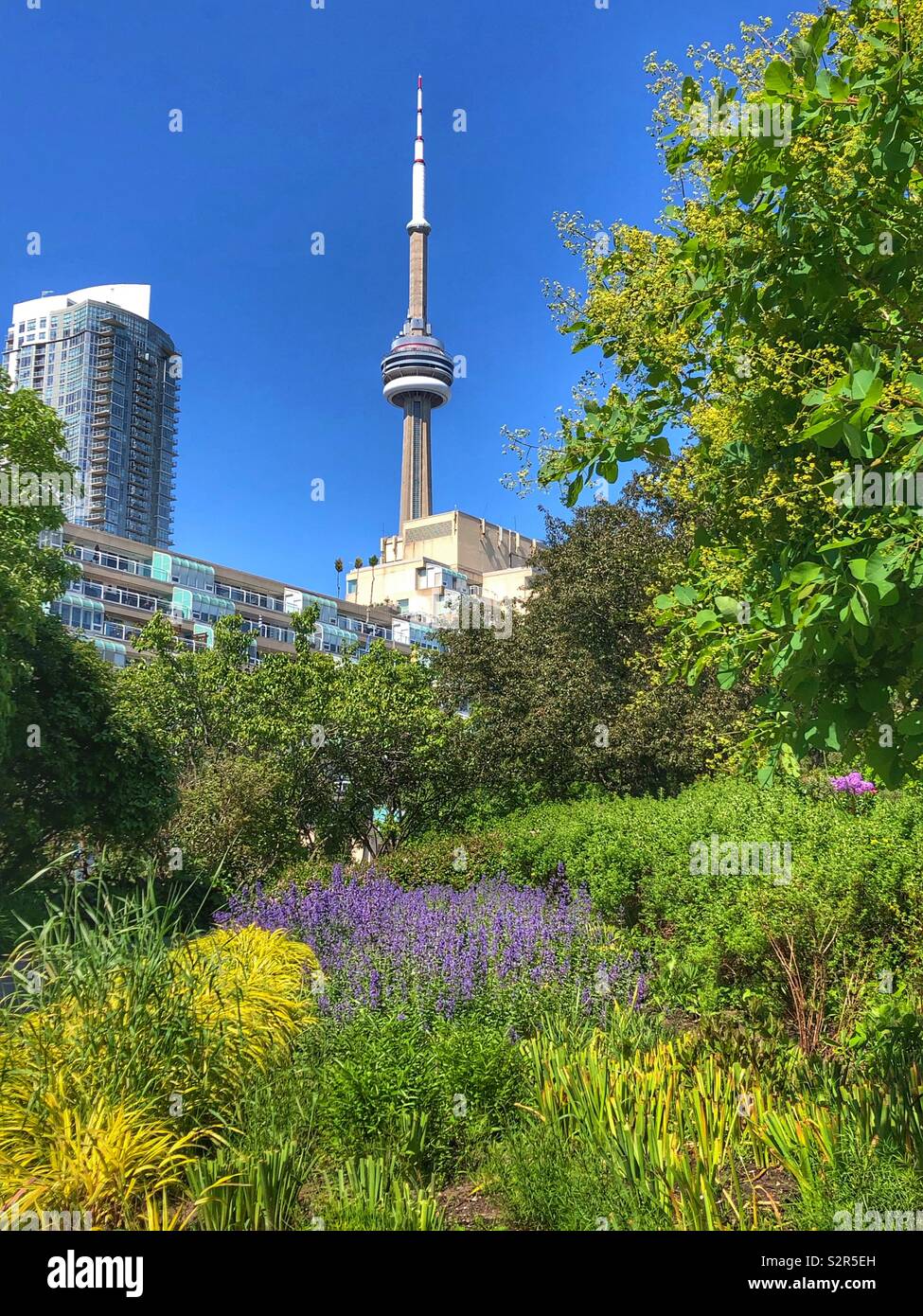 Einen Blick auf den berühmten CN Tower von Toronto Harbourfront Nachbarschaft. Stockfoto