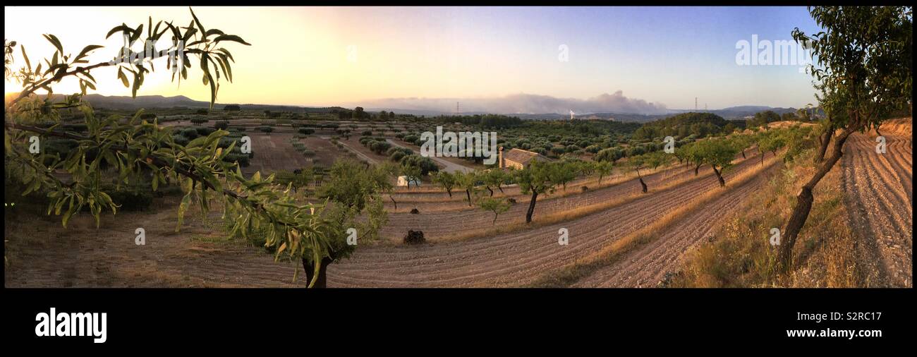 Rauch aus der Wildfire, 5,169 Hektar im Süden von Katalonien, Spanien, die in La Torre de l'Espanyol, gestartet und als von ascó gesehen. 26/06/2019 Stockfoto