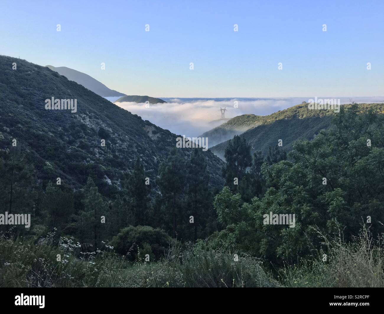 Blick über Angeles National Forest in Südkalifornien, hoch oben mit niedrigen Wolken/Nebel im Tal unten und ein Strommast sichtbar - Smartphone-aufgenommenes Stockfoto