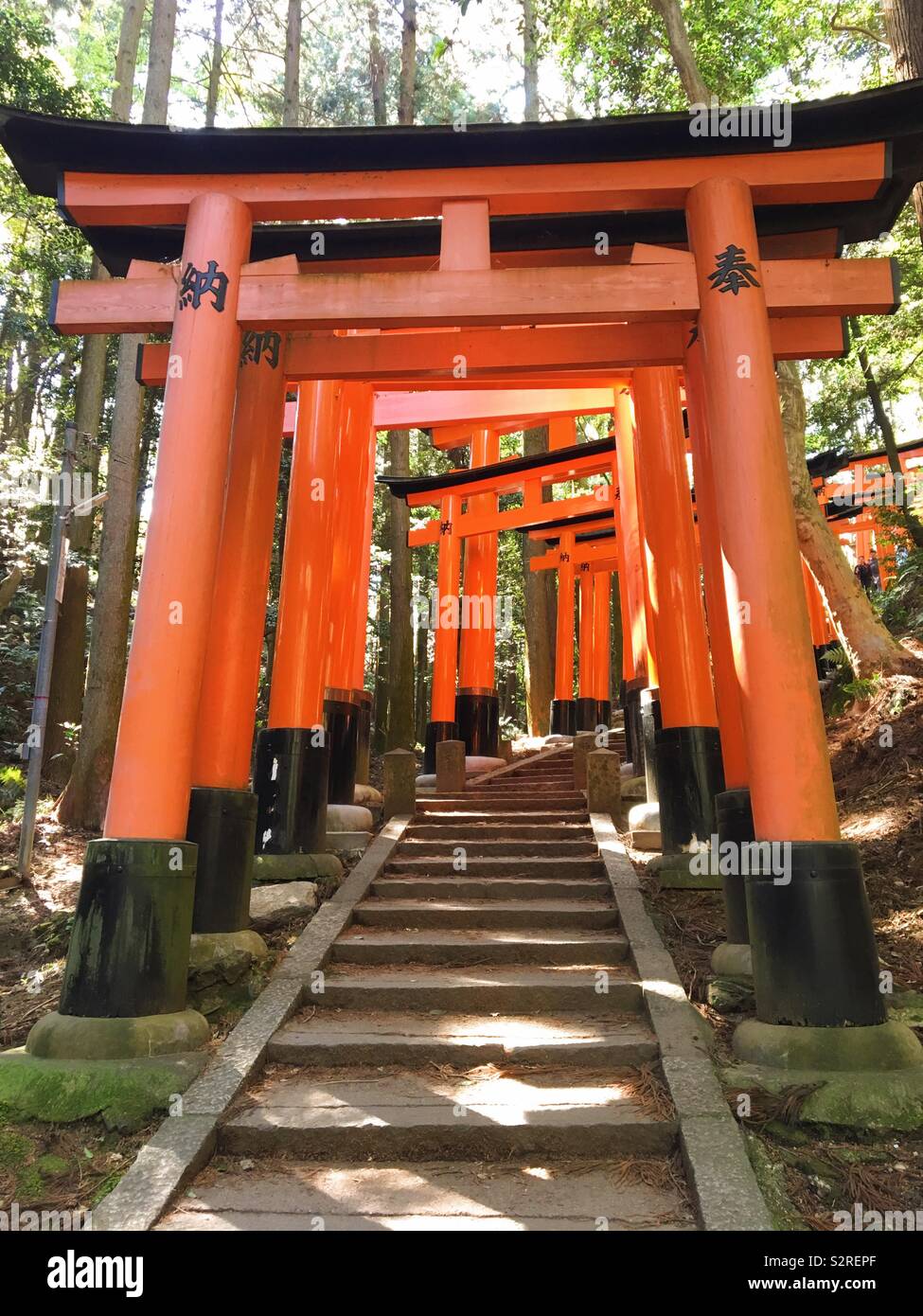 Torii Gates in Fushimi Inari Schrein, Japan Stockfoto
