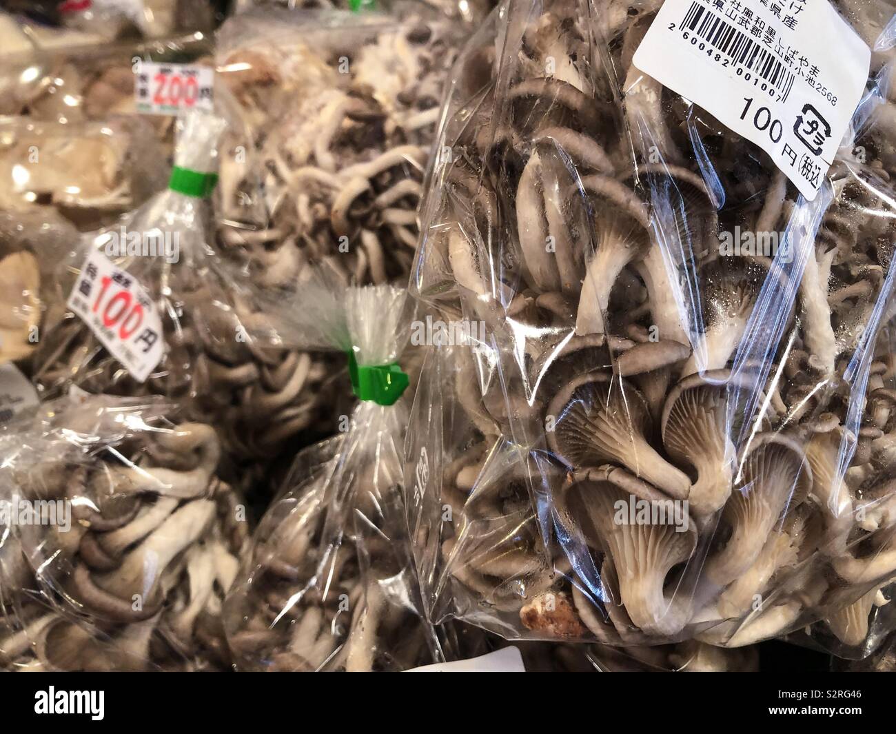Pilze für den Verkauf in einem japanischen Supermarkt. Stockfoto