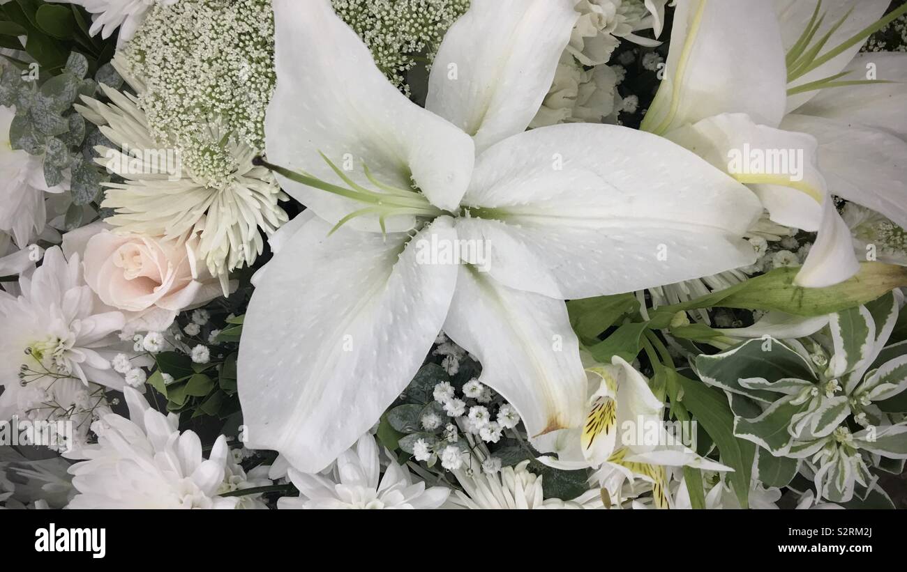 Nahaufnahme Detail von weißen und pale pink flower Arrangement Stockfoto