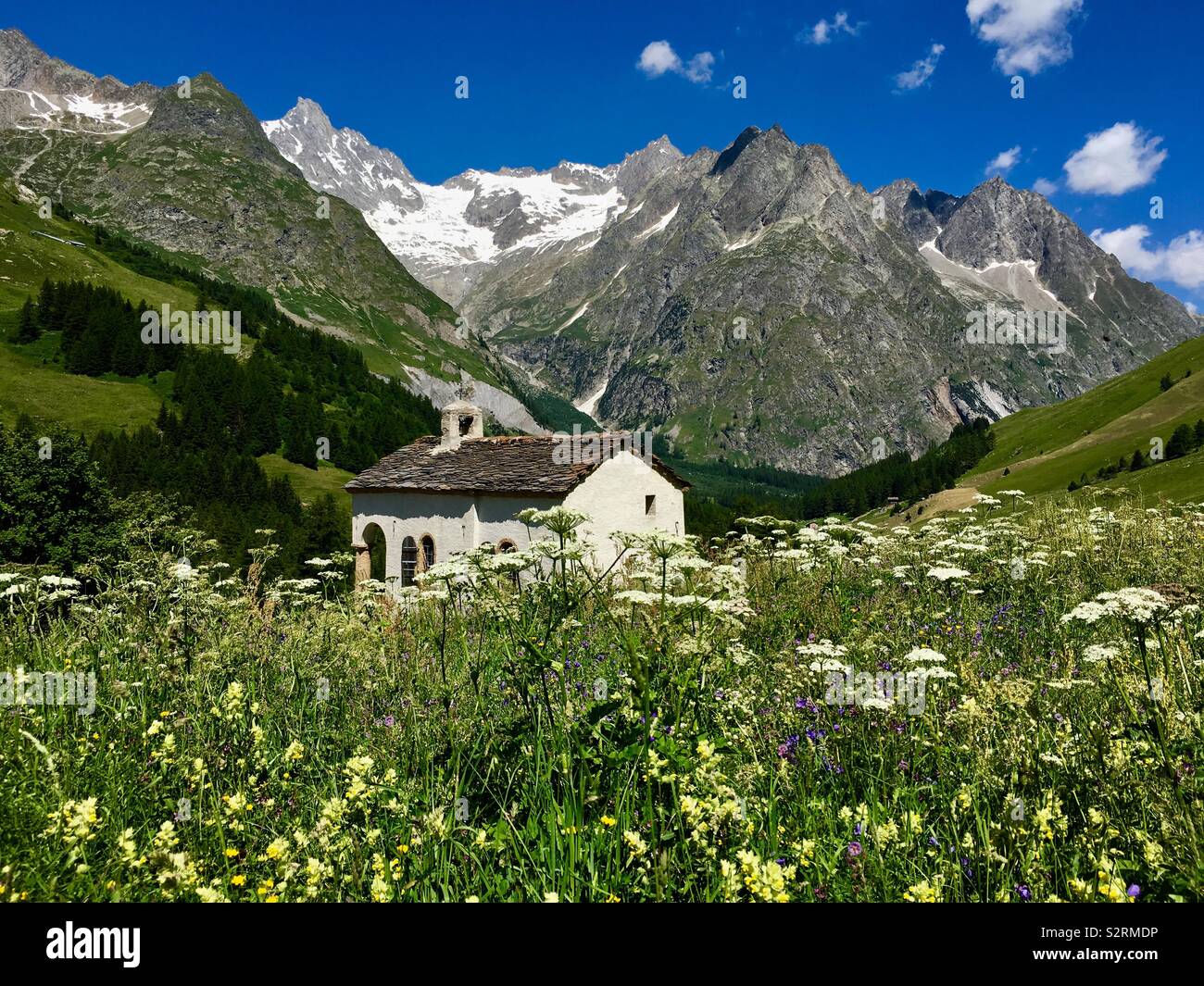 Kapelle von Frettchen und Gipfel Wildblumen withglacier L'A Neuve, Mount Tour Noire, Val Ferret, Walliser Alpen, Schweiz. Stockfoto