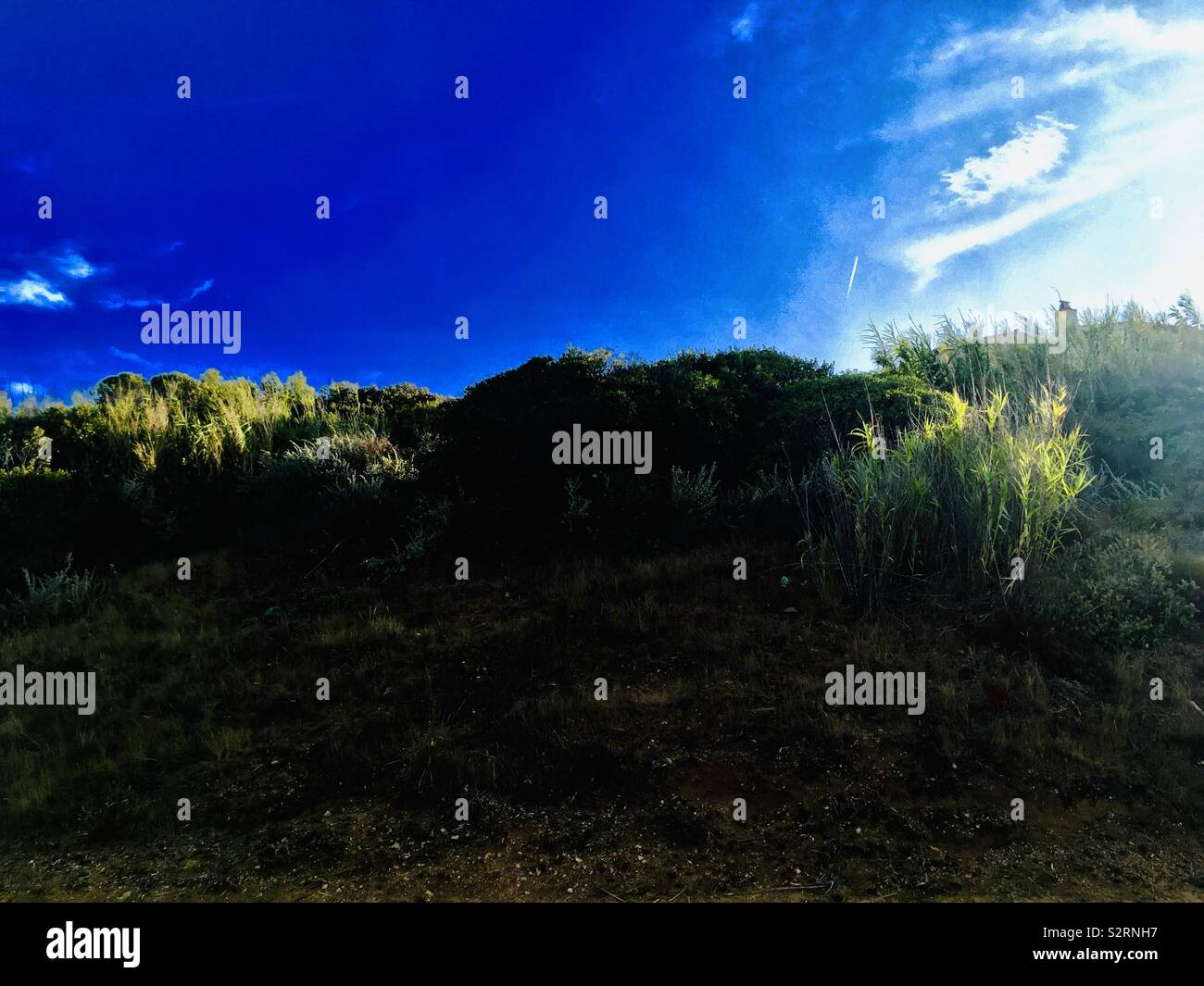 Gras Hügel von mediterranen Strand im Süden von Frankreich Stockfoto