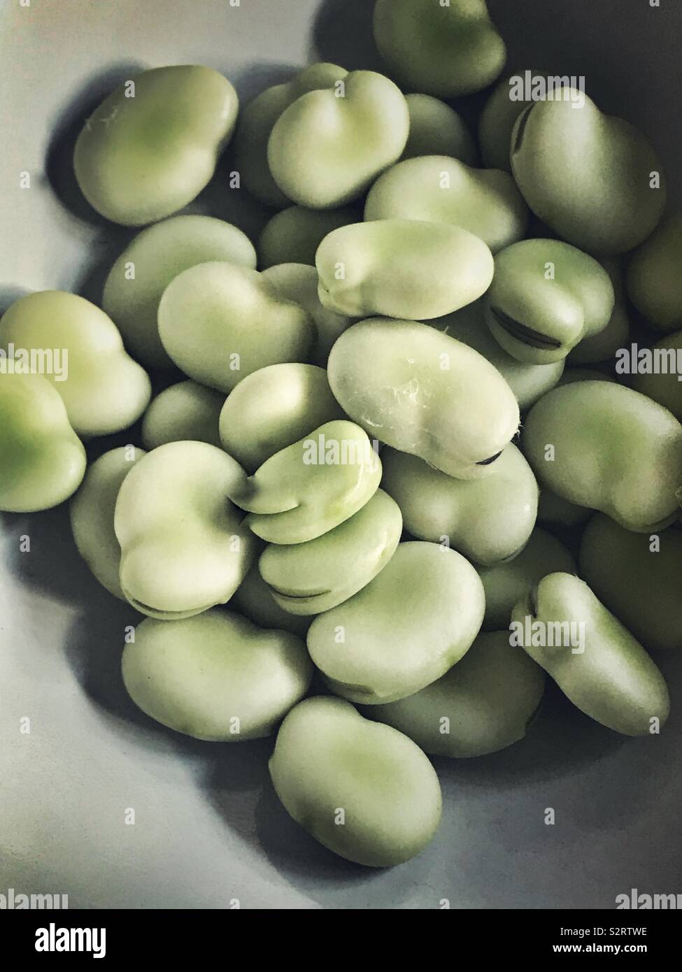 Homegrown Bohnen - Smartphone-aufgenommenes Stockfoto