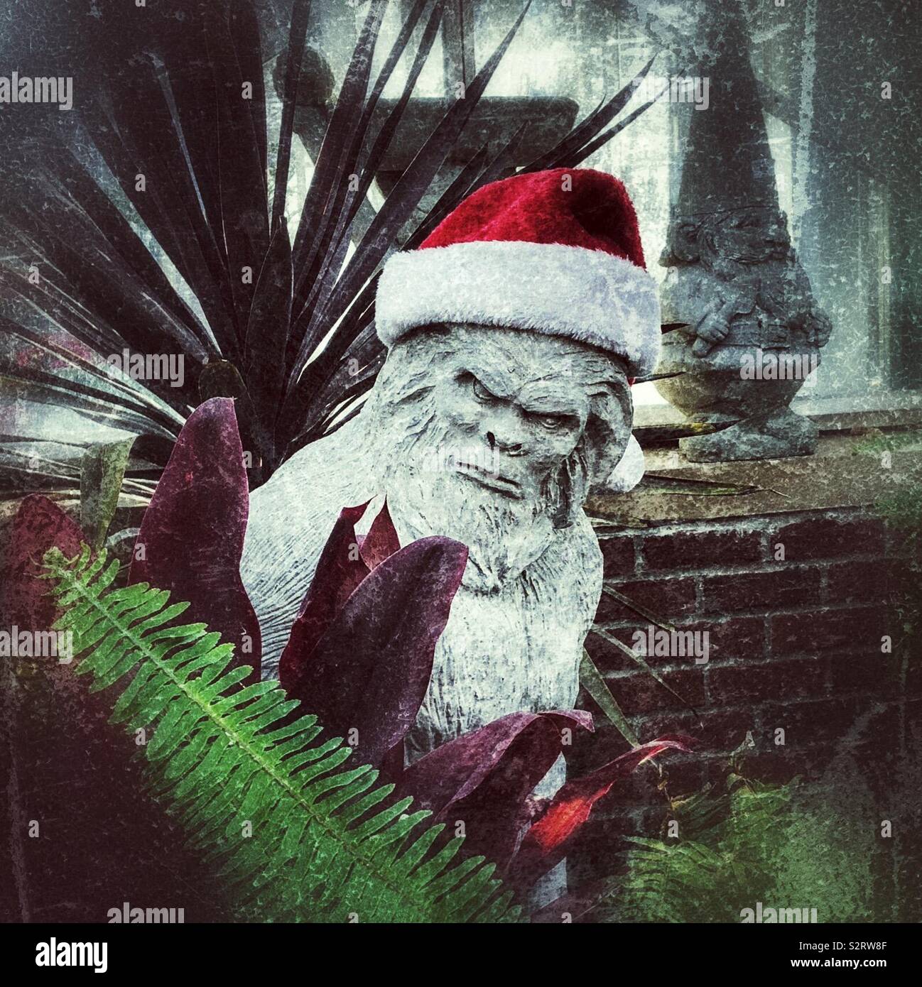 Bigfoot, trug einen Santa Hut, versteckt hinter Pflanzen. - Smartphone-aufgenommenes Stockfoto