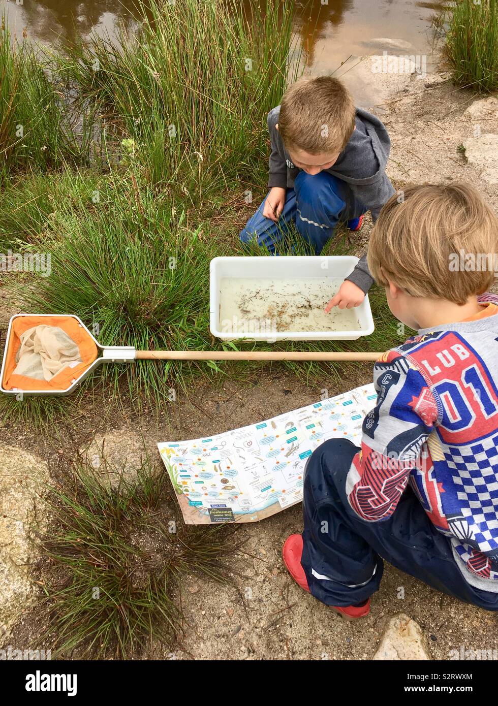 Teich, der kinder eintaucht Fotos und Bildmaterial in hoher Auflösung