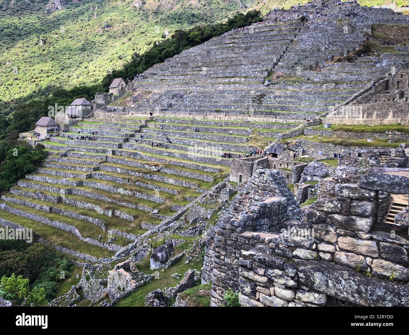 Terrassierung auf Machu Picchu Machu Picchu Inka archäologischen Ruinen in Peru Peru. Stockfoto