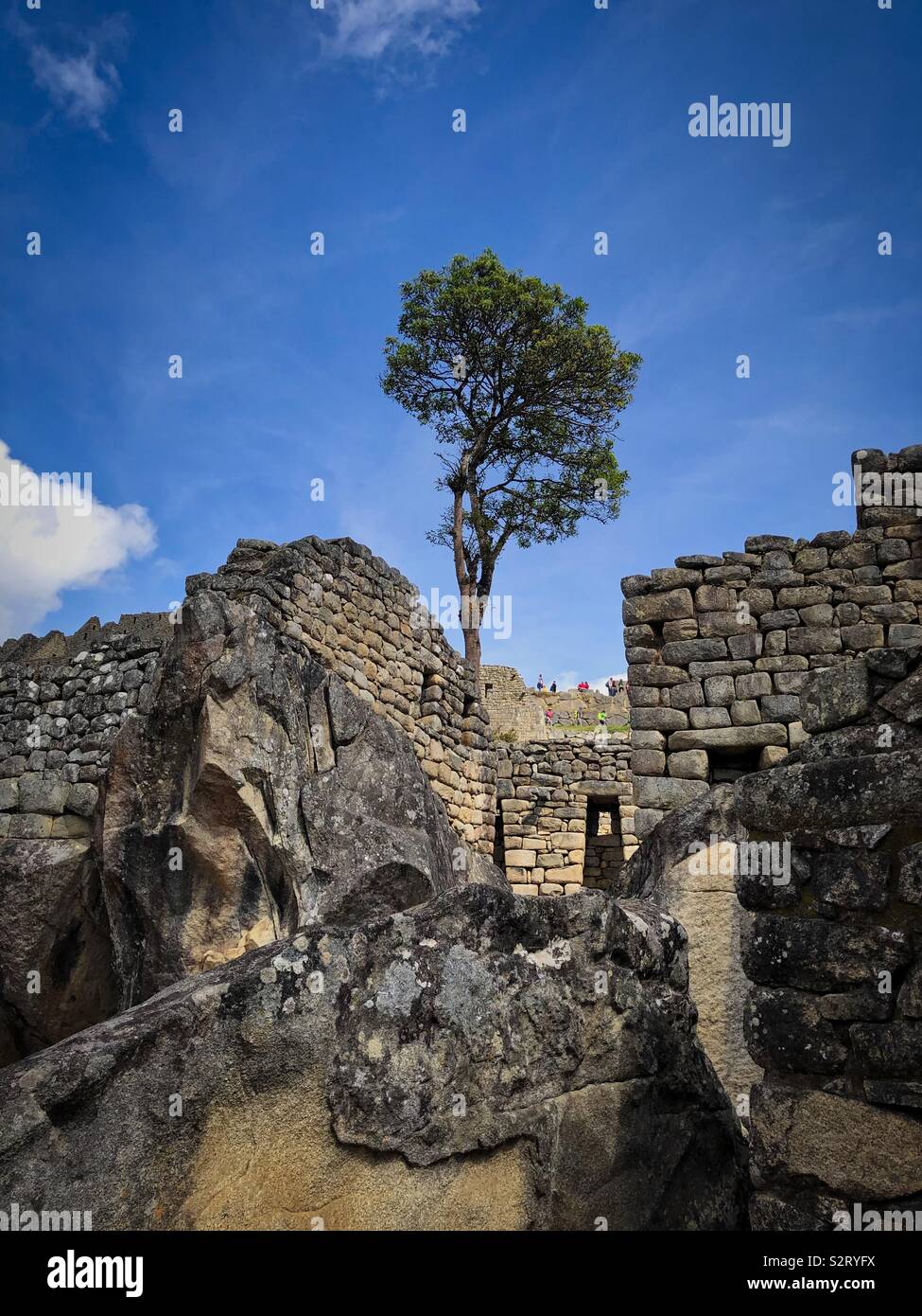 Auf der Suche bis auf einen Teil der Ruinen von Machu Picchu Machu Picchu, die Verlorene Stadt der Inkas, Peru Peru. Stockfoto