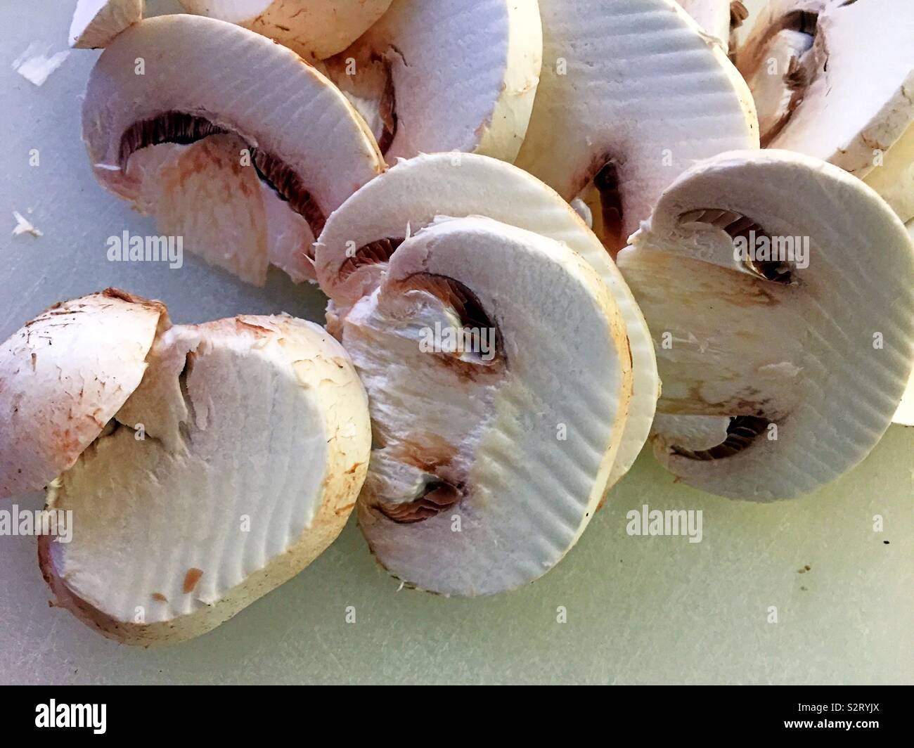 In der Nähe von weißen Holz Pilze, in Scheiben geschnitten - Smartphone-aufgenommenes Stockfoto