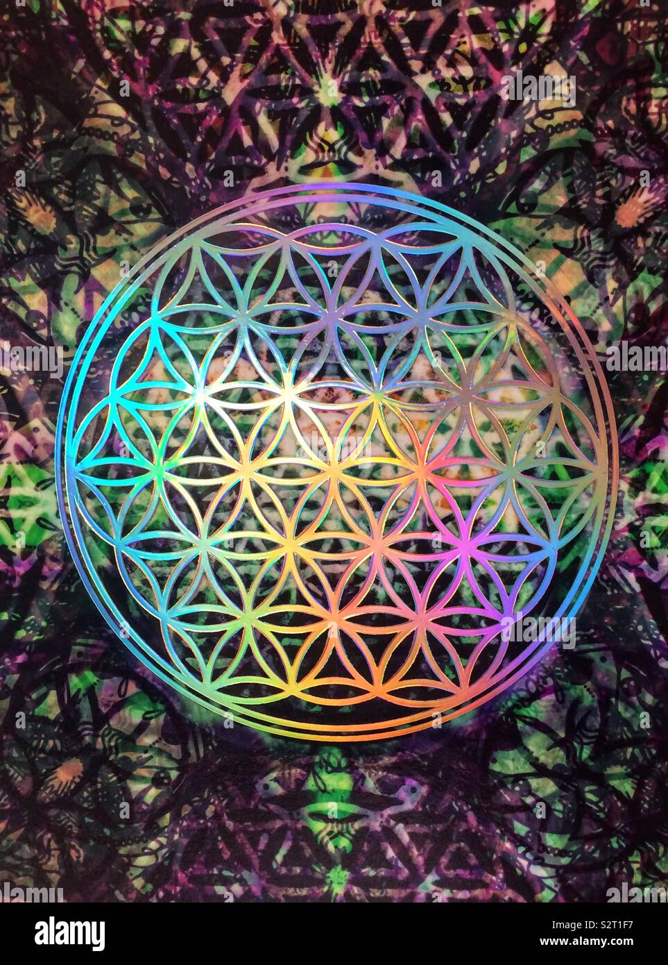Mandala Blume Des Lebens