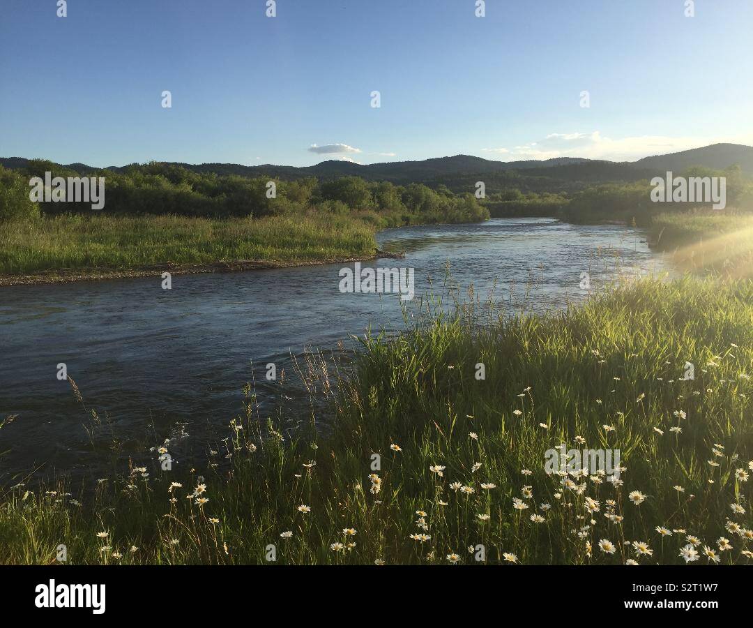 Die Salt River in Wyoming, USA Stockfoto