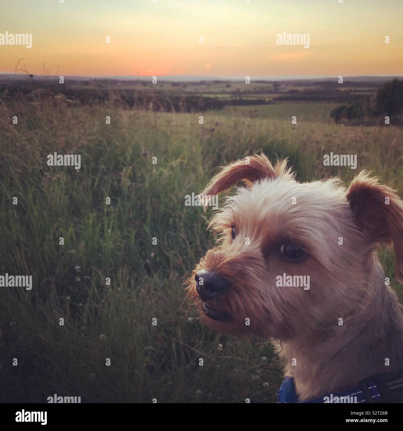 Die Sonnenuntergänge Stockfoto