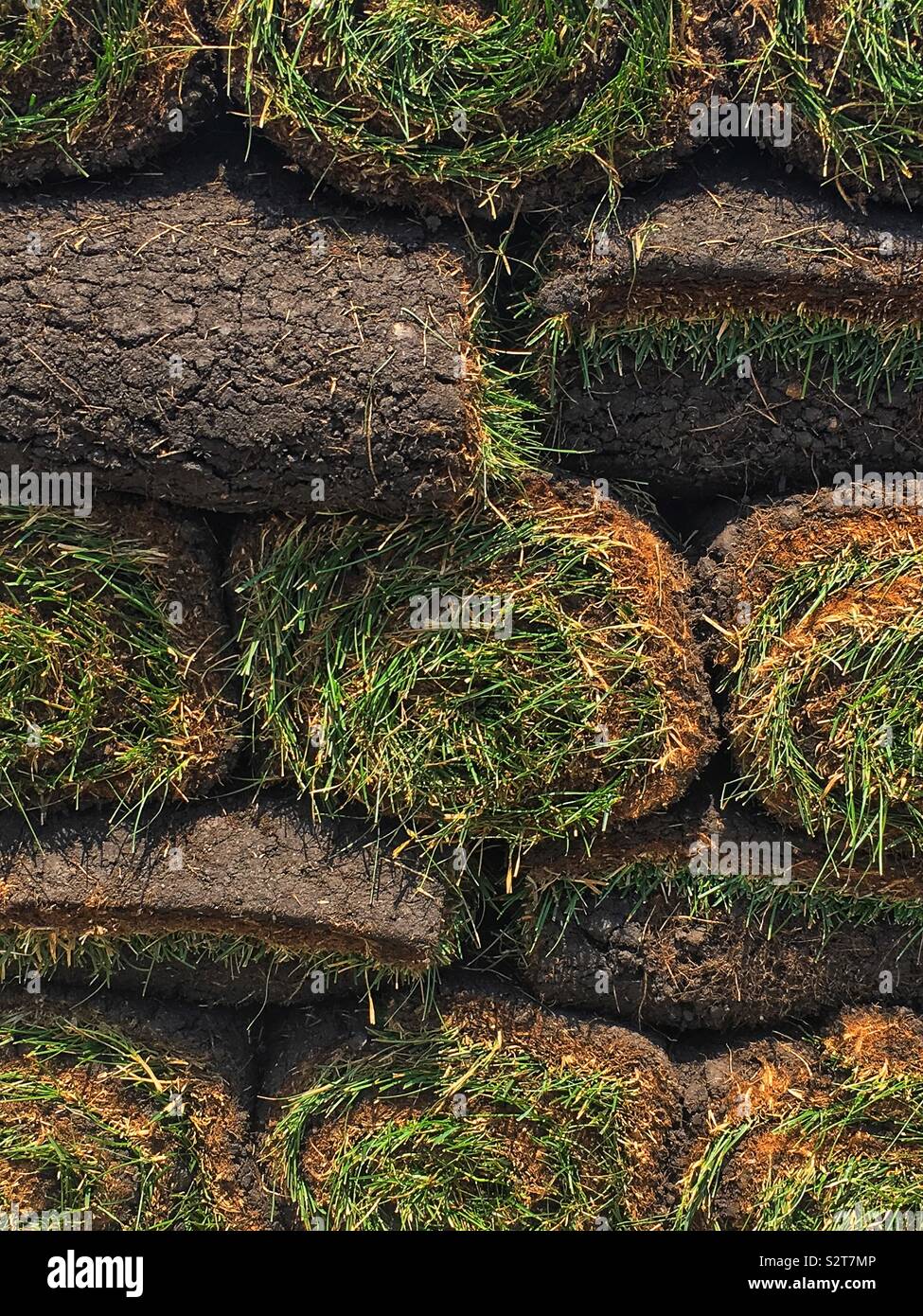Rollen von Gras in abwechselnden Schichten aufgetürmt. Stockfoto