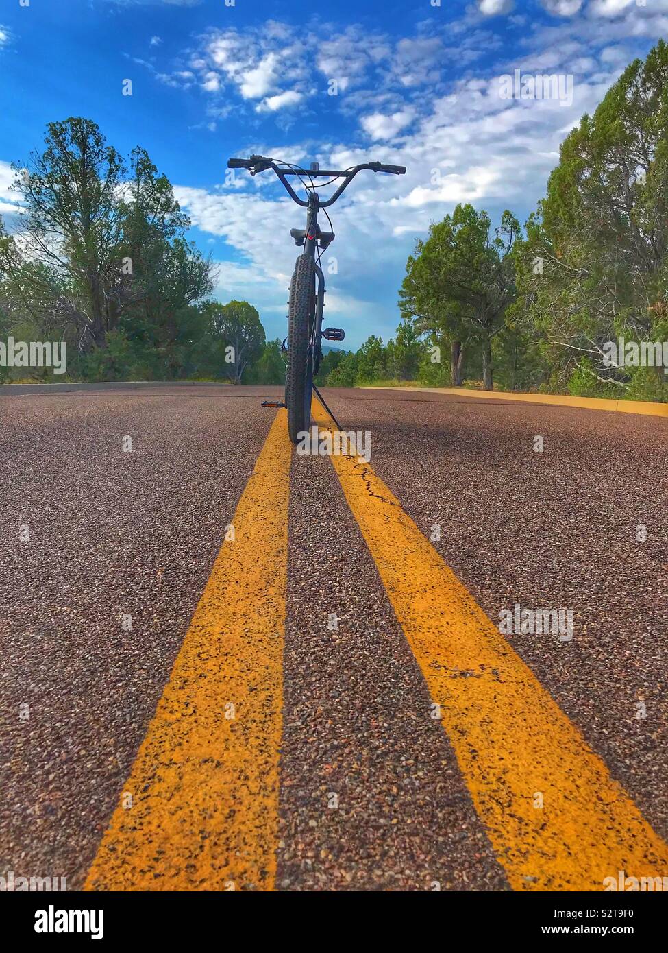Mountainbike mit doppelten gelben auf der Straße. Arizona Stockfoto