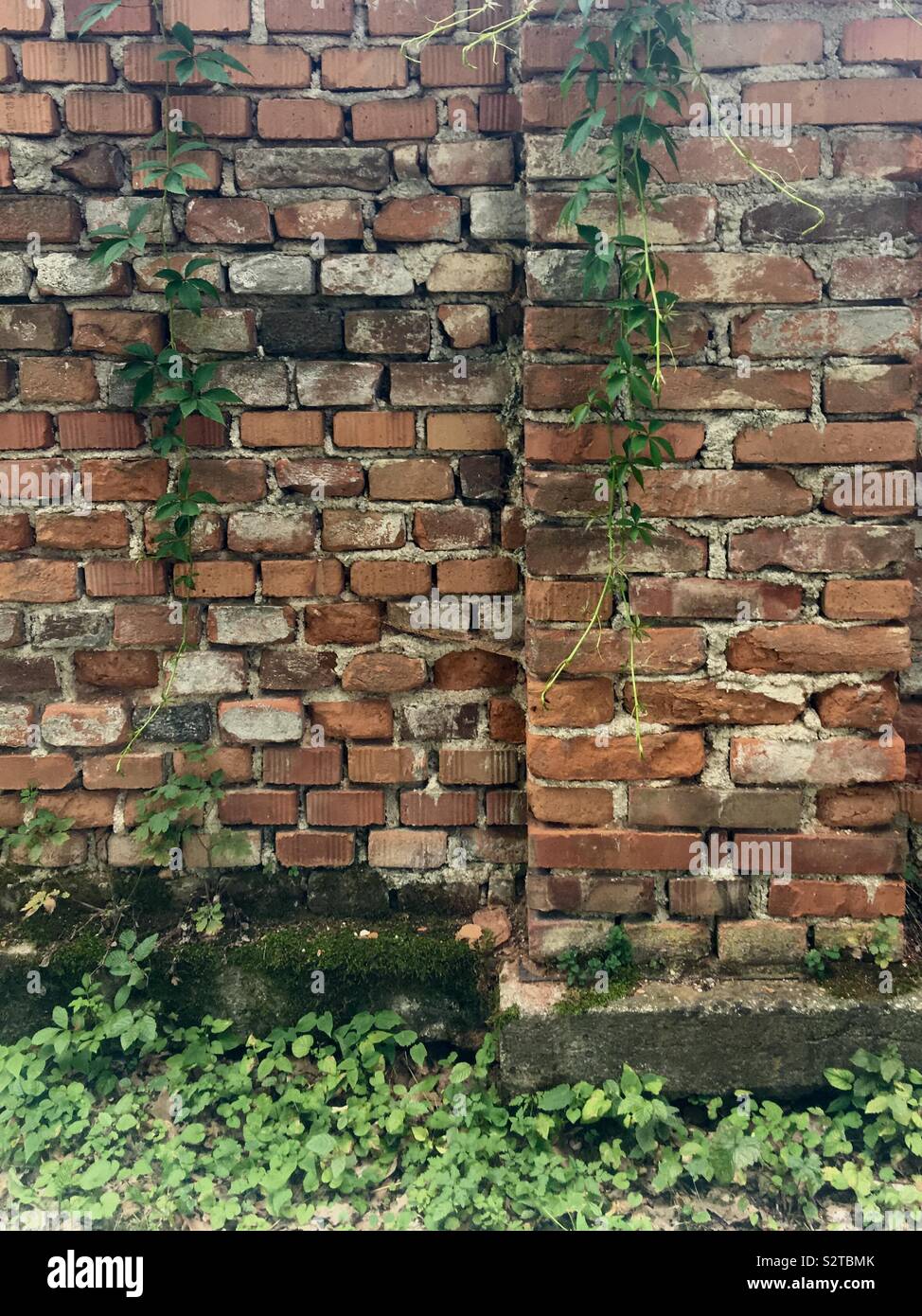 Ein weiterer Stein in der Mauer - Smartphone-aufgenommenes Stockfoto